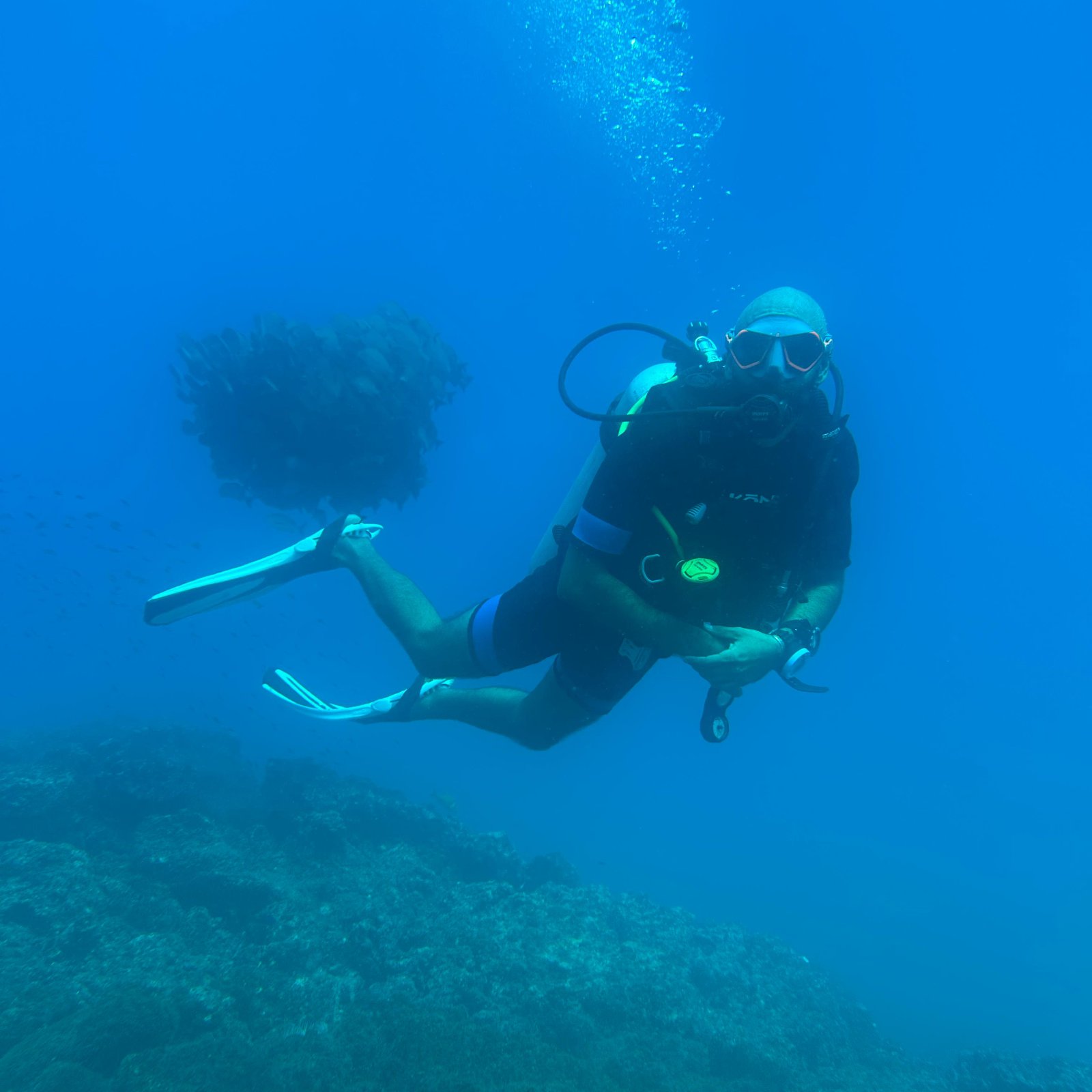 Scuba Diving: Refresher — 5 Hours
