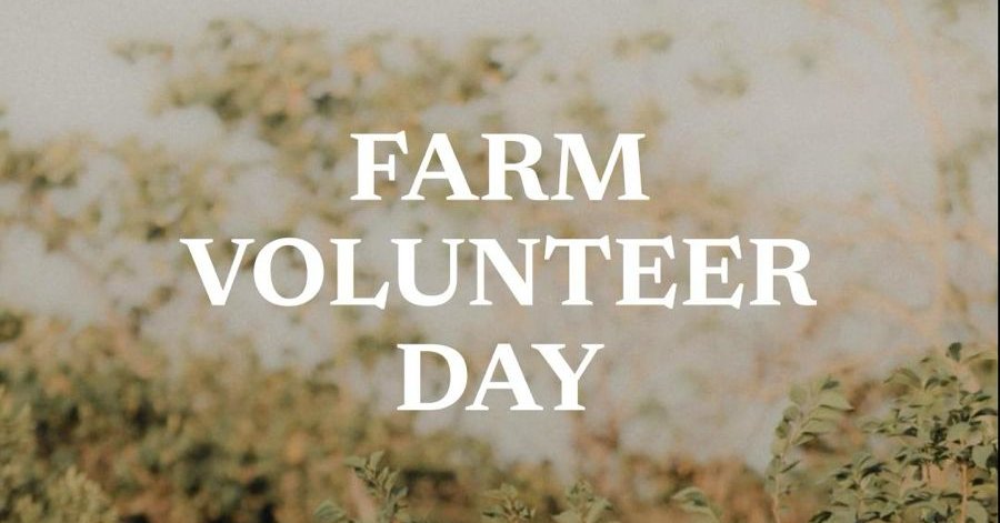 Permaculture Farm Volunteer Day